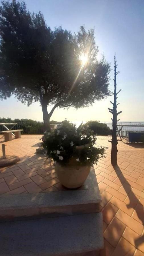Hotel Turismo Rurale Villa Maria Caterina Кала-Гононе Экстерьер фото